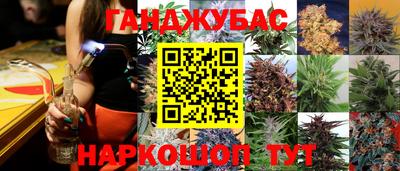 наркотики Гатчина