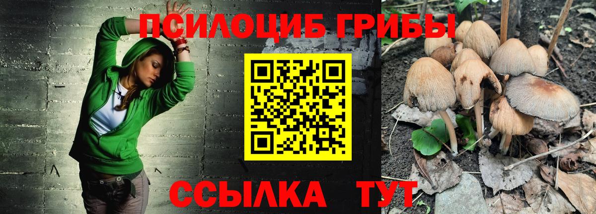 Галлюциногенные грибы Psilocybine cubensis Ишим