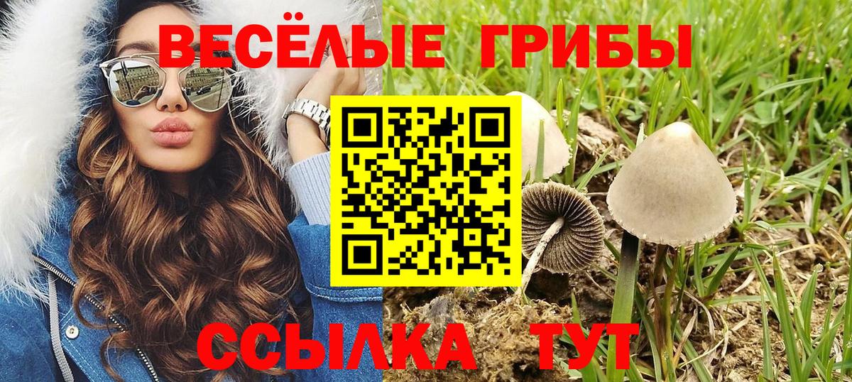 Псилоцибиновые грибы прущие грибы  Псилоцибиновые грибы GOLDEN TEACHER  Ишим  Вход с VPN 